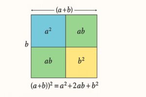 (a+b)² を正方形の4つの領域に分け、a²・ab・ab・b² の面積として視覚化した図。多項式の展開 a²+2ab+b² を直感的に理解するための面積モデル。