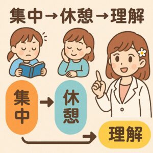 集中→休憩→理解へと進む、脳のDMNサイクルを示した基本図。 