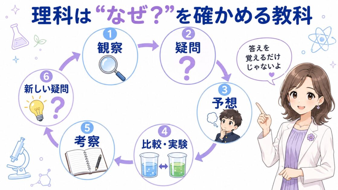 観察・疑問・予想・比較・考察・新しい疑問という理科の考え方の流れ