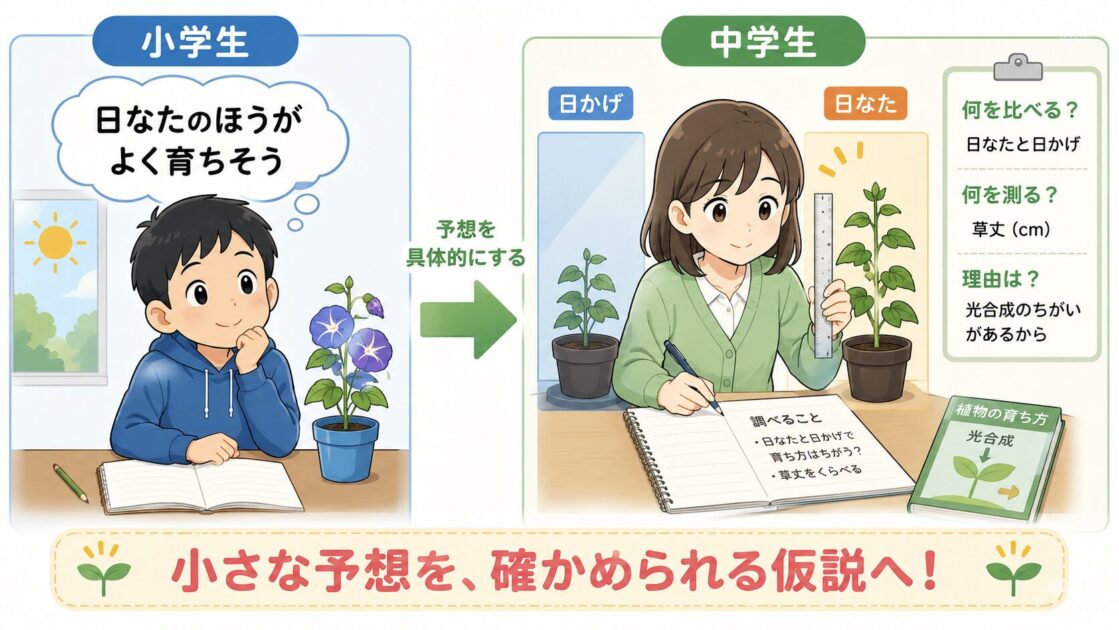 小学生の素朴な予想を中学生の確かめられる仮説へ具体化する図